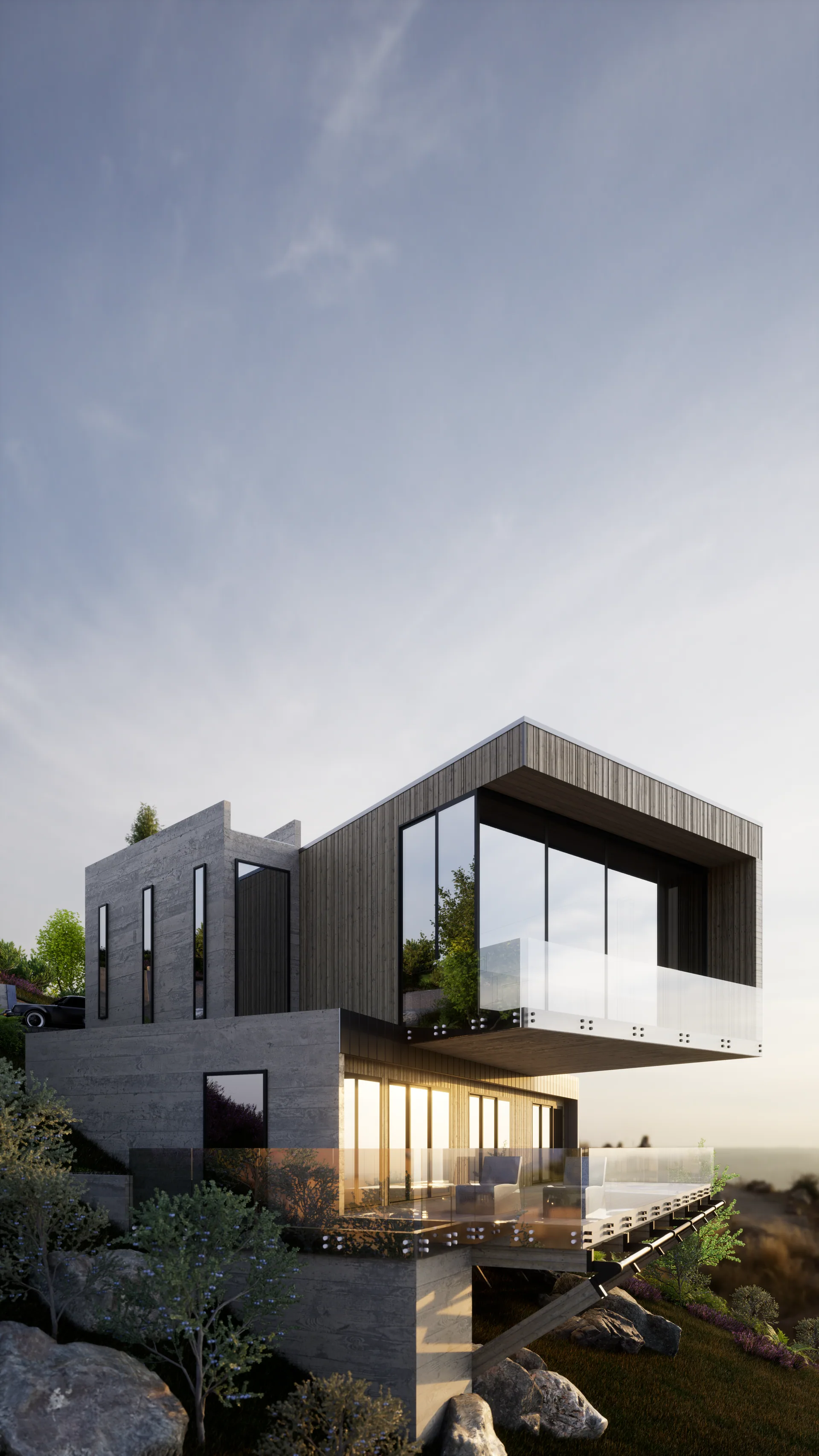 Cantilever Rifle House